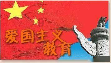 可怜猫的救援
