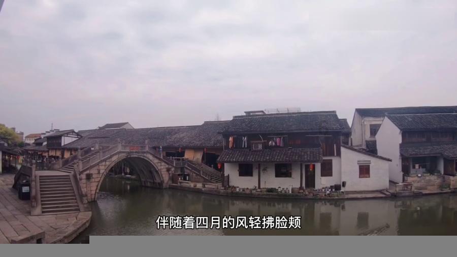 照顾小兔宝宝